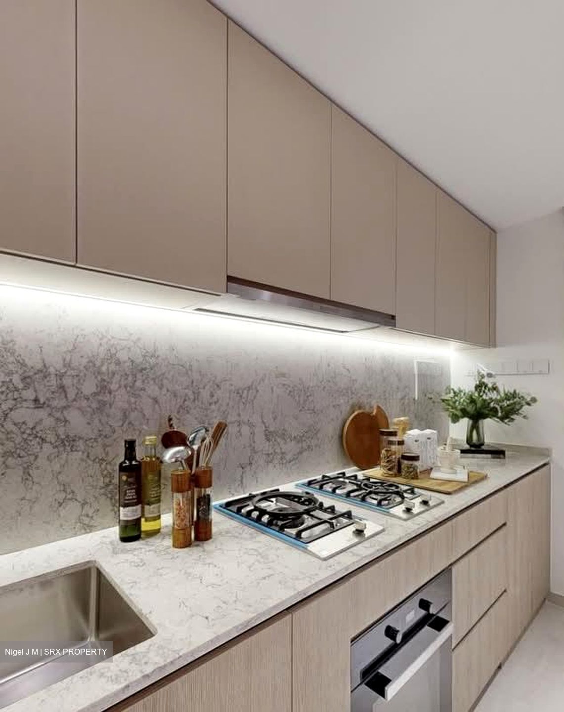 Hudson Place Residences (U/C) (D5), Apartment #550041901